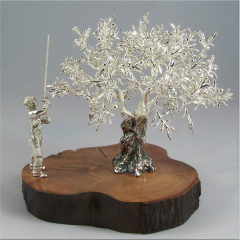 Olivo Plateado + Vareador 16 x 15 cm